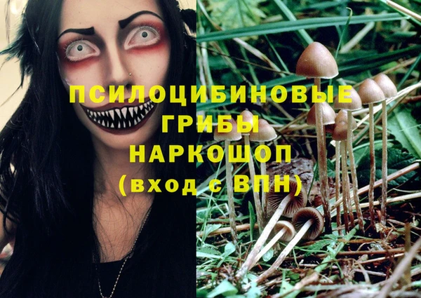 спайс Володарск