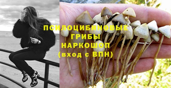 спайс Володарск