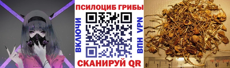 цена   Ноябрьск  Галлюциногенные грибы ЛСД 
